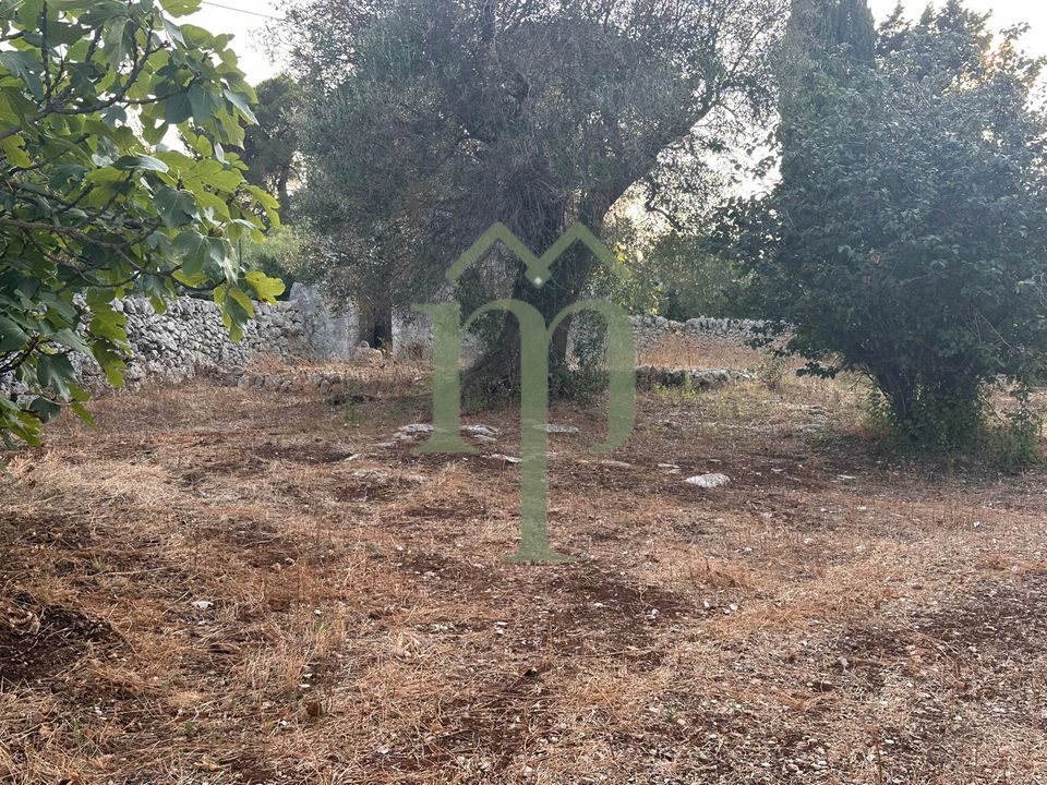 Helårsgrund i Carovigno, Brindisi - foto 2